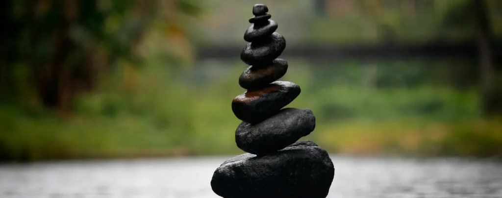 paz_web