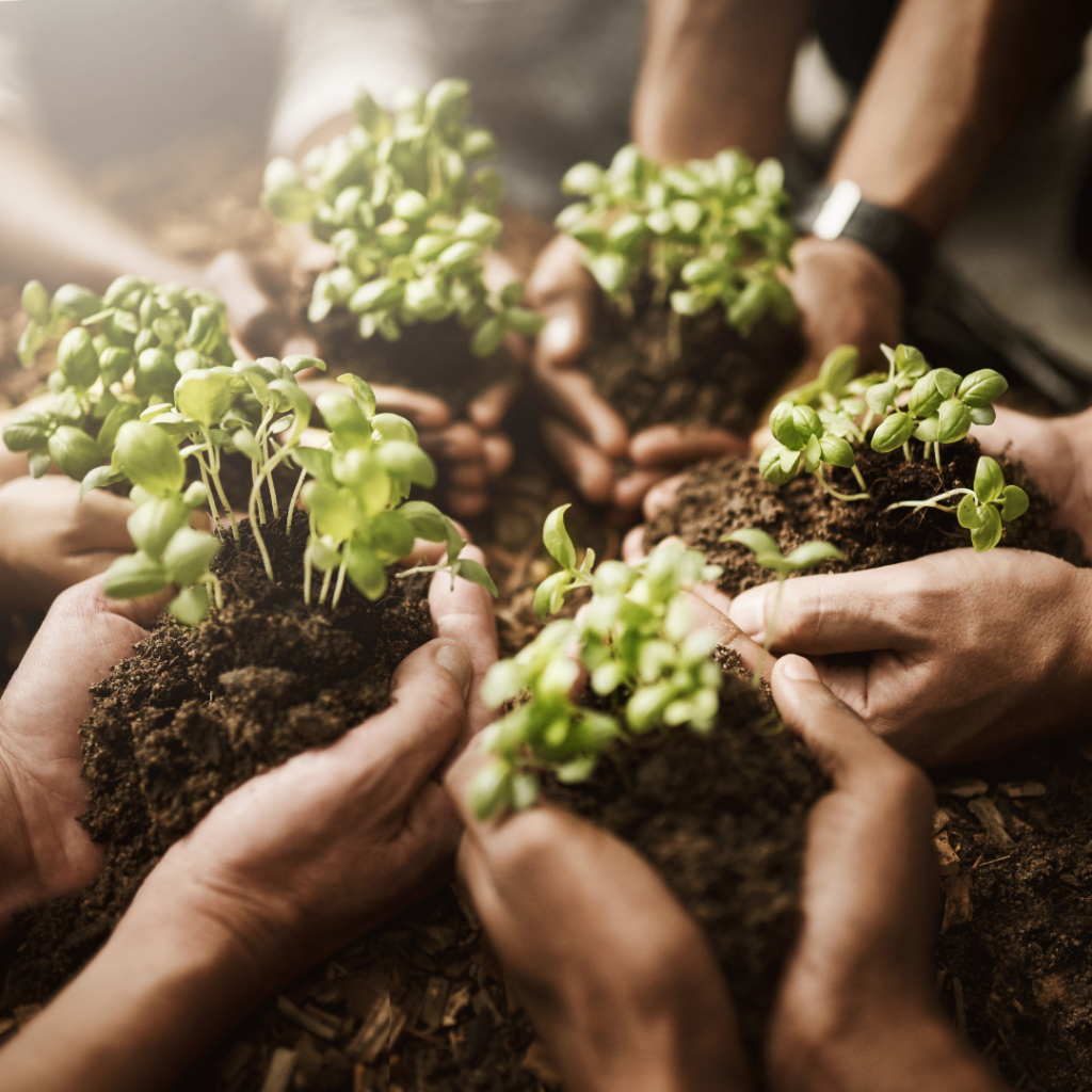 Sostenible Hostal Xulos Peñíscola